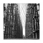 Vegetable Cathedral Gothic ;/) Vegetable Cathedral Gothic ;/)