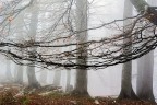 l'amaca l'amaca