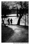 Parco d'inverno Parco d'inverno