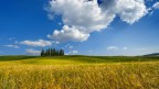 Landscape 1 Landscape 1