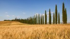 Landscape 2