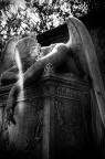 Sad_AngeL Sad_AngeL