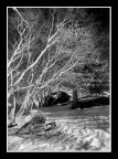 Snowscape Snowscape