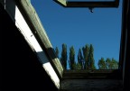 Blu_Green