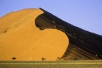S_desert S_desert