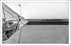 The Flag