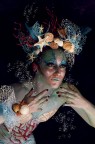 il canto della sirena il canto della sirena