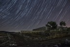 Cadono le stelle
