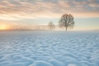 NOSTALGIA FOR WINTERTIME NOSTALGIA FOR WINTERTIME