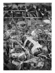 Autodemolizioni (giugno 2017) Autodemolizioni (giugno 2017)