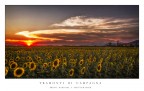 Tramonto di campagna Tramonto di campagna