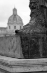 Il cammino imperiale Il cammino imperiale