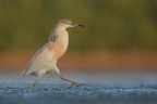 i colori dell'alba i colori dell'alba