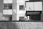 Milano, quartiere Grattosoglio. 30/07/2017