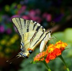 ***Con l'obiettivo tutto sudato***