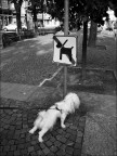 Inversamente