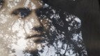 L'Albero del Poeta