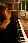 Bellatrix e piano 2 Bellatrix e piano 2