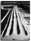 Erosioni Erosioni
