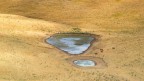 Siccità.... la corsa verso l'acqua! Siccità.... la corsa verso l'acqua!