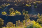 I frutti del vulcano