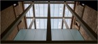 Neues Museum Neues Museum