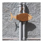 un pesce fuor d'acqua