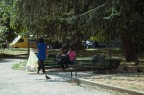 Scene di ordinaria quotidianit�