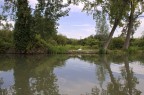 Fiume Mincio