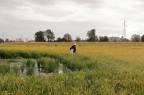 Parco Agricolo Sud Milano