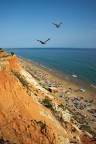 Praia do Falesia, Algarve (P)