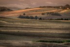 Luce del mattino