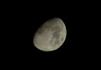 Luna crescente Luna crescente