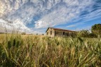 Il paesaggio Il paesaggio