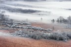 Brume Brume