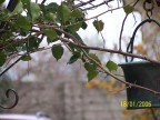 Autunno Autunno