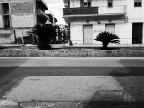''' '''