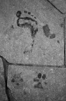 Uomo e il Cane Uomo e il Cane