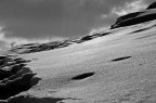Deserto di neve Deserto di neve