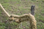 felitto, la fune felitto, la fune