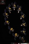 Bmx Freestyle Bmx Freestyle