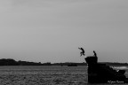 Il tuffo Il tuffo
