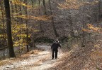 autunno autunno