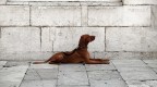 Ti Sto Aspettando Ti Sto Aspettando