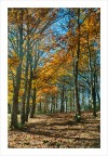 Autunno