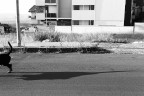 ''' '''