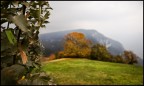 i segreti dell'autunno i segreti dell'autunno