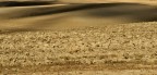 come un deserto come un deserto