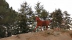 Cavallo Goloso Cavallo Goloso