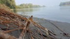 Il fiume mostra i suoi misteri Il fiume mostra i suoi misteri